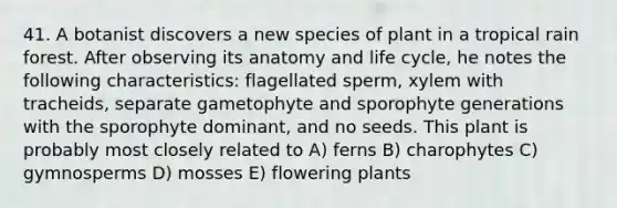 41. A botanist discovers a new species of plant in a tropical rain forest. After observing its anatomy and life cycle, he notes the following characteristics: flagellated sperm, xylem with tracheids, separate gametophyte and sporophyte generations with the sporophyte dominant, and no seeds. This plant is probably most closely related to A) ferns B) charophytes C) gymnosperms D) mosses E) flowering plants