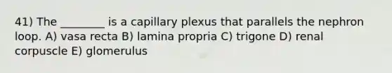 41) The ________ is a capillary plexus that parallels the nephron loop. A) vasa recta B) lamina propria C) trigone D) renal corpuscle E) glomerulus