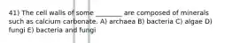 41) The cell walls of some ________ are composed of minerals such as calcium carbonate. A) archaea B) bacteria C) algae D) fungi E) bacteria and fungi