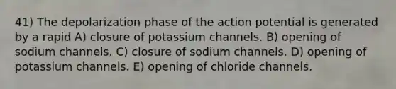 41) The depolarization phase of the action potential is generated by a rapid A) closure of potassium channels. B) opening of sodium channels. C) closure of sodium channels. D) opening of potassium channels. E) opening of chloride channels.