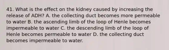 41. What is the effect on the kidney caused by increasing the release of ADH? A. the collecting duct becomes more permeable to water B. the ascending limb of the loop of Henle becomes impermeable to water C. the descending limb of the loop of Henle becomes permeable to water D. the collecting duct becomes impermeable to water.