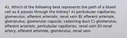 41. Which of the following best represents the path of a blood cell as it passes through the kidney? A) peritubular capillaries, glomerulus, afferent arteriole, renal vein B) afferent arteriole, glomerulus, glomerular capsule, collecting duct C) glomerulus, efferent arteriole, peritubular capillaries, renal vein D) renal artery, efferent arteriole, glomerulus, renal vein