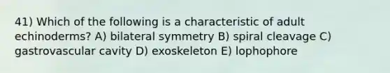 41) Which of the following is a characteristic of adult echinoderms? A) bilateral symmetry B) spiral cleavage C) gastrovascular cavity D) exoskeleton E) lophophore