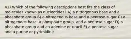 41) Which of the following descriptions best fits the class of molecules known as nucleotides? A) a nitrogenous base and a phosphate group B) a nitrogenous base and a pentose sugar C) a nitrogenous base, a phosphate group, and a pentose sugar D) a phosphate group and an adenine or uracil E) a pentose sugar and a purine or pyrimidine