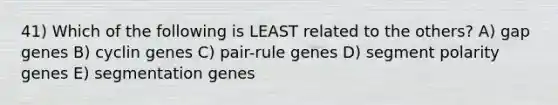 41) Which of the following is LEAST related to the others? A) gap genes B) cyclin genes C) pair-rule genes D) segment polarity genes E) segmentation genes