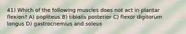 41) Which of the following muscles does not act in plantar flexion? A) popliteus B) tibialis posterior C) flexor digitorum longus D) gastrocnemius and soleus