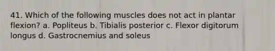 41. Which of the following muscles does not act in plantar flexion? a. Popliteus b. Tibialis posterior c. Flexor digitorum longus d. Gastrocnemius and soleus