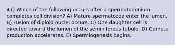 41) Which of the following occurs after a spermatogonium completes cell division? A) Mature spermatozoa enter the lumen. B) Fusion of diploid nuclei occurs. C) One daughter cell is directed toward the lumen of the seminiferous tubule. D) Gamete production accelerates. E) Spermiogenesis begins.