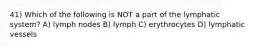 41) Which of the following is NOT a part of the lymphatic system? A) lymph nodes B) lymph C) erythrocytes D) lymphatic vessels