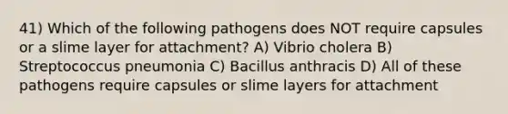 41) Which of the following pathogens does NOT require capsules or a slime layer for attachment? A) Vibrio cholera B) Streptococcus pneumonia C) Bacillus anthracis D) All of these pathogens require capsules or slime layers for attachment