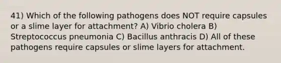 41) Which of the following pathogens does NOT require capsules or a slime layer for attachment? A) Vibrio cholera B) Streptococcus pneumonia C) Bacillus anthracis D) All of these pathogens require capsules or slime layers for attachment.