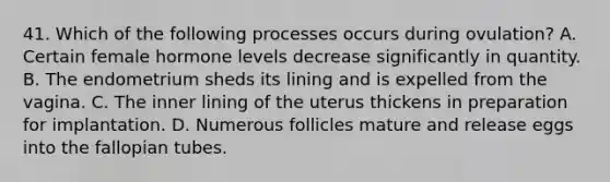 41. Which of the following processes occurs during ovulation? A. Certain female hormone levels decrease significantly in quantity. B. The endometrium sheds its lining and is expelled from the vagina. C. The inner lining of the uterus thickens in preparation for implantation. D. Numerous follicles mature and release eggs into the fallopian tubes.