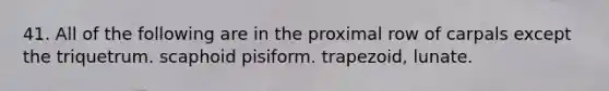 41. All of the following are in the proximal row of carpals except the triquetrum. scaphoid pisiform. trapezoid, lunate.