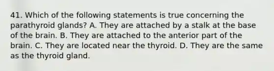 41. Which of the following statements is true concerning the parathyroid glands? A. They are attached by a stalk at the base of the brain. B. They are attached to the anterior part of the brain. C. They are located near the thyroid. D. They are the same as the thyroid gland.