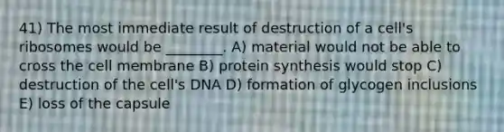 41) The most immediate result of destruction of a cell's ribosomes would be ________. A) material would not be able to cross the cell membrane B) protein synthesis would stop C) destruction of the cell's DNA D) formation of glycogen inclusions E) loss of the capsule