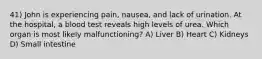 41) John is experiencing pain, nausea, and lack of urination. At the hospital, a blood test reveals high levels of urea. Which organ is most likely malfunctioning? A) Liver B) Heart C) Kidneys D) Small intestine