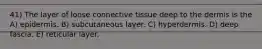 41) The layer of loose connective tissue deep to the dermis is the A) epidermis. B) subcutaneous layer. C) hyperdermis. D) deep fascia. E) reticular layer.