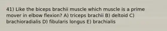 41) Like the biceps brachii muscle which muscle is a prime mover in elbow flexion? A) triceps brachii B) deltoid C) brachioradialis D) fibularis longus E) brachialis