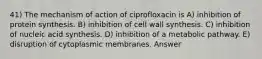 41) The mechanism of action of ciprofloxacin is A) inhibition of protein synthesis. B) inhibition of cell wall synthesis. C) inhibition of nucleic acid synthesis. D) inhibition of a metabolic pathway. E) disruption of cytoplasmic membranes. Answer