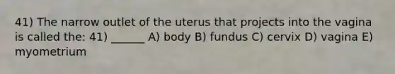 41) The narrow outlet of the uterus that projects into the vagina is called the: 41) ______ A) body B) fundus C) cervix D) vagina E) myometrium