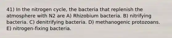 41) In the nitrogen cycle, the bacteria that replenish the atmosphere with N2 are A) Rhizobium bacteria. B) nitrifying bacteria. C) denitrifying bacteria. D) methanogenic protozoans. E) nitrogen-fixing bacteria.