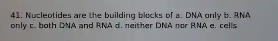 41. Nucleotides are the building blocks of a. DNA only b. RNA only c. both DNA and RNA d. neither DNA nor RNA e. cells