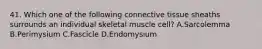 41. Which one of the following connective tissue sheaths surrounds an individual skeletal muscle cell? A.Sarcolemma B.Perimysium C.Fascicle D.Endomysium