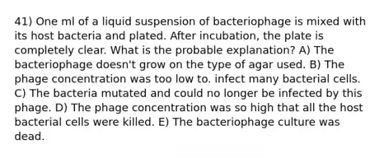 41) One ml of a liquid suspension of bacteriophage is mixed with its host bacteria and plated. After incubation, the plate is completely clear. What is the probable explanation? A) The bacteriophage doesn't grow on the type of agar used. B) The phage concentration was too low to. infect many bacterial cells. C) The bacteria mutated and could no longer be infected by this phage. D) The phage concentration was so high that all the host bacterial cells were killed. E) The bacteriophage culture was dead.