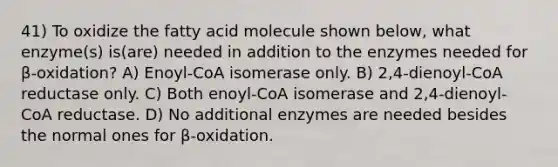 41) To oxidize the fatty acid molecule shown below, what enzyme(s) is(are) needed in addition to the enzymes needed for β-oxidation? A) Enoyl-CoA isomerase only. B) 2,4-dienoyl-CoA reductase only. C) Both enoyl-CoA isomerase and 2,4-dienoyl-CoA reductase. D) No additional enzymes are needed besides the normal ones for β-oxidation.