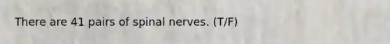 There are 41 pairs of spinal nerves. (T/F)