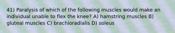 41) Paralysis of which of the following muscles would make an individual unable to flex the knee? A) hamstring muscles B) gluteal muscles C) brachioradialis D) soleus