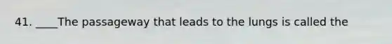41. ____The passageway that leads to the lungs is called the