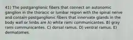 41) The postganglionic fibers that connect an autonomic ganglion in the thoracic or lumbar region with the spinal nerve and contain postganglionic fibers that innervate glands in the body wall or limbs are A) white rami communicantes. B) gray rami communicantes. C) dorsal ramus. D) ventral ramus. E) dermatomes.