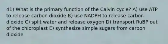 41) What is the primary function of the Calvin cycle? A) use ATP to release carbon dioxide B) use NADPH to release carbon dioxide C) split water and release oxygen D) transport RuBP out of the chloroplast E) synthesize simple sugars from carbon dioxide