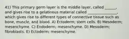 41) This primary germ layer is the middle layer, called ______, and gives rise to a gelatinous material called ________________, which gives rise to different types of connective tissue such as bone, muscle, and blood. A) Ectoderm; stem cells. B) Mesoderm; mesenchyme. C) Endoderm; mesenchyme. D) Mesoderm; fibroblasts. E) Ectoderm; mesenchyme.