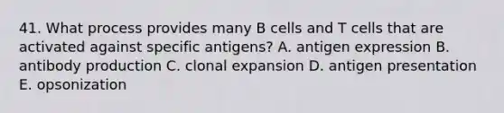 41. What process provides many B cells and T cells that are activated against specific antigens? A. antigen expression B. antibody production C. clonal expansion D. antigen presentation E. opsonization