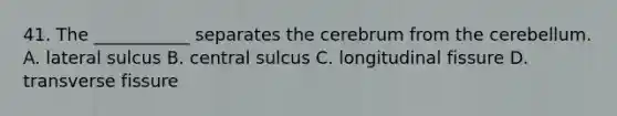 41. The ___________ separates the cerebrum from the cerebellum. A. lateral sulcus B. central sulcus C. longitudinal fissure D. transverse fissure