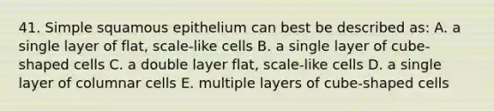 41. Simple squamous epithelium can best be described as: A. a single layer of flat, scale-like cells B. a single layer of cube-shaped cells C. a double layer flat, scale-like cells D. a single layer of columnar cells E. multiple layers of cube-shaped cells