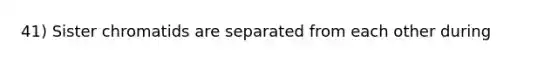 41) Sister chromatids are separated from each other during