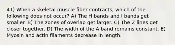 41) When a skeletal muscle fiber contracts, which of the following does not occur? A) The H bands and I bands get smaller. B) The zones of overlap get larger. C) The Z lines get closer together. D) The width of the A band remains constant. E) Myosin and actin filaments decrease in length.