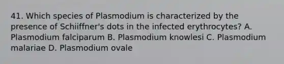 41. Which species of Plasmodium is characterized by the presence of Schiiffner's dots in the infected erythrocytes? A. Plasmodium falciparum B. Plasmodium knowlesi C. Plasmodium malariae D. Plasmodium ovale