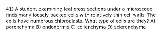 41) A student examining leaf cross sections under a microscope finds many loosely packed cells with relatively thin cell walls. The cells have numerous chloroplasts. What type of cells are they? A) parenchyma B) endodermis C) collenchyma D) sclerenchyma