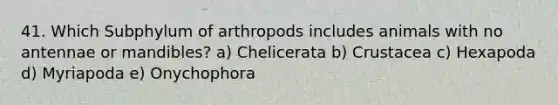 41. Which Subphylum of arthropods includes animals with no antennae or mandibles? a) Chelicerata b) Crustacea c) Hexapoda d) Myriapoda e) Onychophora