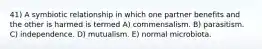 41) A symbiotic relationship in which one partner benefits and the other is harmed is termed A) commensalism. B) parasitism. C) independence. D) mutualism. E) normal microbiota.