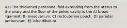 41) The thickened peritoneal fold extending from the uterus to the ovary and the floor of the pelvic cavity is the A) broad ligament. B) mesovarium. C) rectouterine pouch. D) parietal peritoneum. E) infundibulum.