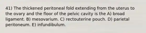 41) The thickened peritoneal fold extending from the uterus to the ovary and the floor of the pelvic cavity is the A) broad ligament. B) mesovarium. C) rectouterine pouch. D) parietal peritoneum. E) infundibulum.