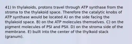 41) In thylakoids, protons travel through ATP synthase from the stroma to the thylakoid space. Therefore the catalytic knobs of ATP synthase would be located A) on the side facing the thylakoid space. B) on the ATP molecules themselves. C) on the pigment molecules of PSI and PSII. D) on the stroma side of the membrane. E) built into the center of the thylkoid stack (granum).