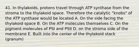 41. In thylakoids, protons travel through ATP synthase from the stroma to the thylakoid space. Therefore the catalytic "knobs" of the ATP synthase would be located A. On the side facing the thylakoid space B. On the ATP molecules themselves C. On the pigment molecules of PSI and PSII D. on the stroma side of the membrane E. Built into the center of the thylakoid stack (granum)