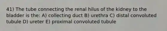 41) The tube connecting the renal hilus of the kidney to the bladder is the: A) collecting duct B) urethra C) distal convoluted tubule D) ureter E) proximal convoluted tubule