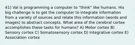 41) Val is programming a computer to "think" like humans. His big challenge is to get the computer to integrate information from a variety of sources and relate this information (words and images) to abstract concepts. What area of the cerebral cortex accomplishes these tasks for humans? A) Motor cortex B) Sensory cortex C) Somatosensory cortex D) Integrative cortex E) Association cortex